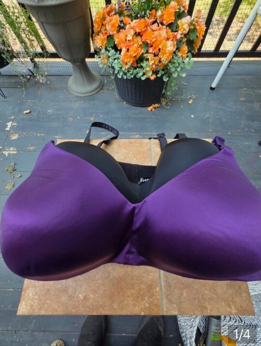 torrid Purple/black Dream Wire Free bra